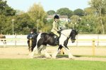SBM_67591