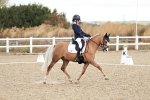 SBM_004315