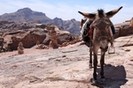 Petra 149
