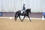 SBM_002311