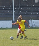 DSC07980