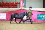 SBM_00260