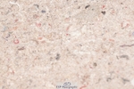 250510-140216-11445