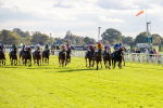 111024-Race 5-Vince LAmour-6951