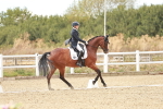 SBM_007290