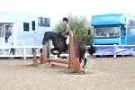 SBM_12168