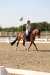 SBM_006975