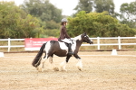 SBM_001076