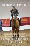 BPP_9991