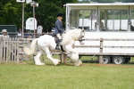 SBM_17176