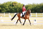SBM_008182