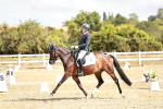 SBM_009379