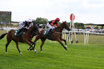 260826-Race 1-Mugheer-2148