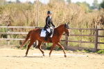 SBM_010686