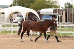 SBM_10258