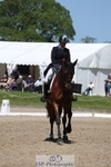 158-RED_LETTER_DAY_II_(GB)-Imogen_Murray-WEDTrotUp+DR portfolio