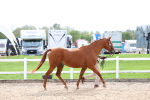 SBM_04463