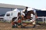 SBM_07910