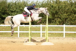 SBM_010394