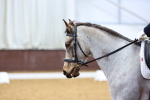 SBM_001914