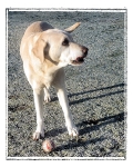 Me  My Ball