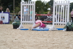 SBM_45411