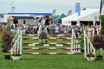 EQUISCOT 9317