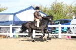 SBM_12290