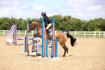 SBM_001086