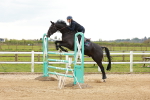 SBM_002736