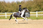 SBM_001881