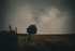DSCF4200