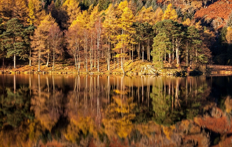 Blea Tarn Reflection - Langdale - Lake District