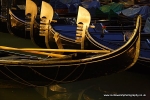 XT6I4914Venice 2011