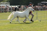 SBM_02394