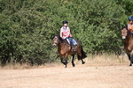 WJ6_8771