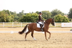 SBM_005245