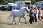 WJ6_4535