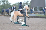 Cls 11 50cm Clear Round portfolio