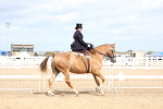 SBM_03320