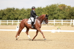 SBM_003593