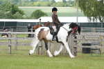 SBM_17642