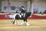 SBM_14956