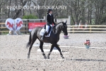 BPP_9954