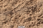 231015A-150332-08871