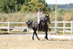 SBM_003428