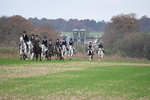 WJ6_9141
