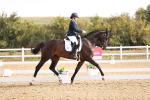 SBM_016883