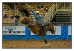 Saddle Bronc 7