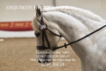 BPP_8834